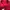 Adidas Streetwear Sportswear Track Jacket Pria Red