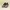 Nike Streetwear Sportswear Sneakers Pria Multicolor