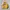 Skater Hoody Pria yellow photo 1