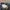 Nudie Biker Casual Pria navy black photo 5