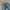 Nudie Biker Casual Pria navy black photo 3