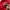 Fluke Skateboard Skater Hoody Pria red photo 5
