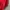 Fluke Skateboard Skater Hoody Pria red photo 4