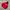 Fluke Skateboard Skater Hoody Pria red photo 3