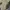 Guy Laroche Streetwear Casual Harrington jacket Pria tan brown photo 8
