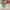 Toy Kids green photo 1