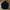 Adidas Streetwear Casual Track jacket Pria green black photo 1