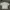 Vintage Streetwear Casual Shirt Pria White Cream