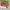 Hipseat Kids multicolor photo 1