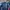 Puma Casual Bomber Jacket Kids Blue