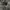 Undercoverism Vintage Avant Garde Parka Pria green photo 3