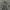 Undercoverism Vintage Avant Garde Parka Pria green photo 4