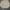 Bershka Streetwear Luxury Harrington Jacket Pria Black Cream