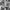 Converse Streetwear Sneakers Pria white blue photo 1