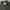 Buzz Ricksons Vintage Avant Garde Trench Coat Pria Gray