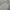 LAINE Casual Casual shirt Pria gray photo 2