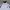 Adidas Casual Casual shirt Pria white photo 2