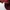 Columbia Casual Parka Pria burgundy photo 5