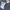 Adidas Casual Sweater Pria navy photo 5