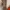 Kenzo Vintage Indie Flat Wanita tan orange photo 4