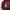 Descente Casual Windbreaker Pria burgundy photo 4
