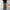 Vintage Jeans Pria gray photo 1