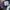 Belle The Label Streetwear Casual Jeans Pria navy blue photo 4