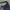 OshKosh Y2K Skater Short Pria navy black photo 2