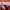 Feltics Vintage Hoody Pria red photo 3
