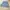 ZARA Casual Skirt Wanita blue photo 5
