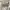 Coach Minimalist Casual Crossbody Bag Wanita cream photo 1