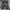 EDWIN Streetwear Jeans Pria navy black photo 3