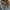 Adidas Sportswear Casual Sneakers Pria multicolor gray photo 2