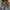 Adidas Sportswear Casual Sneakers Pria Multicolor Gray