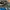 Adidas Sportswear Casual Sneakers Pria multicolor gray photo 1
