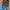 Adidas Sportswear Casual Sneakers Pria multicolor gray photo 3