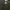 Lee Streetwear Trench coat Pria green photo 8