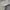 Lee Streetwear Trench coat Pria green photo 6