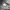 Lee Streetwear Trench coat Pria green photo 7