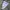 Lee Streetwear Trench coat Pria green photo 3