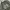 Nike Y2K Sportswear Jersey Pria gray photo 1