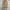 Carhartt Vintage Streetwear Jeans Pria brown photo 1