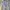 Pull & Bear Minimalist Casual Windbreaker Wanita blue photo 3