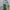 Cardinal Y2K Skater Formal shirt Pria blue photo 2
