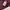 Carhartt Streetwear T-shirt Pria burgundy photo 6