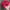 Vintage Skater Hat Pria red photo 3