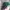 Japanese brand Vintage Streetwear Hat Pria purple green photo 3