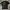 A Bathing Ape Streetwear T-shirt Pria black photo 1