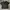 Nike Streetwear T-shirt Pria black photo 1