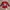 Reebok Sportswear Jersey Pria Red